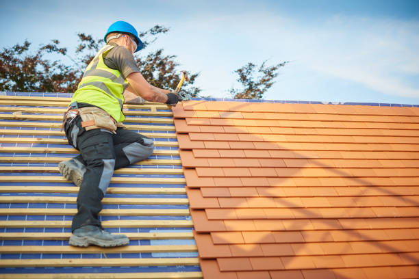 Best Skylight Installation and Repair  in Celina, TX